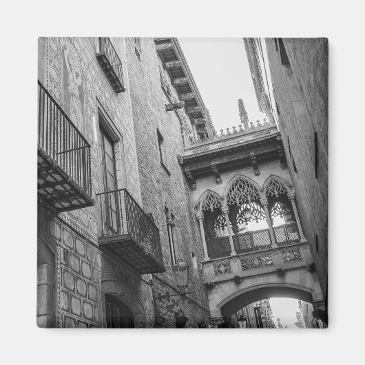 Carrer del Bisbe Magneet: Barcelona Magneet (Voorkant)