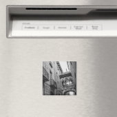 Carrer del Bisbe Magneet: Barcelona Magneet (Insitu (Vaatwasser))