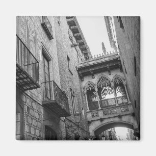 Carrer del Bisbe Magnet: Barcelona Magneet