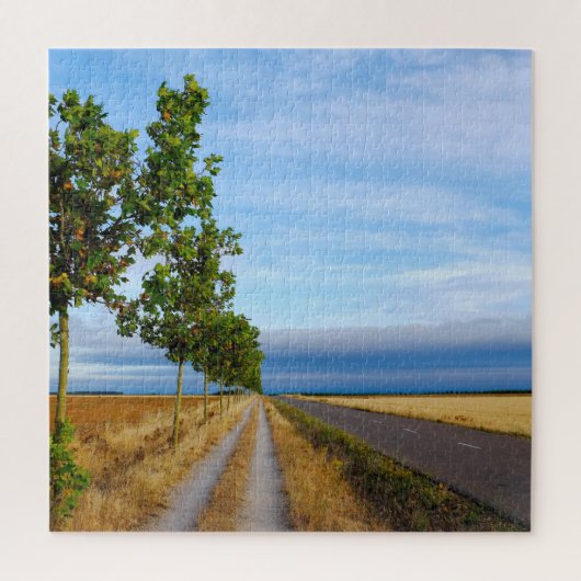 Carretera Hacia Reliegos Legpuzzel (Verticaal)