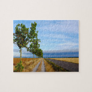Carretera Hacia Reliegos Legpuzzel