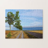 Carretera Hacia Reliegos Legpuzzel (Horizontaal)