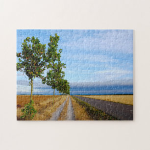 Carretera Hacia Reliegos Legpuzzel