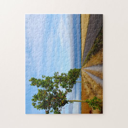 Carretera Hacia Reliegos Legpuzzel (Verticaal)