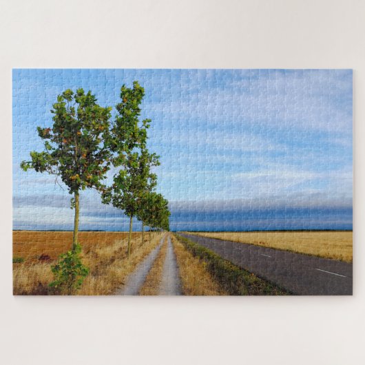 Carretera Hacia Reliegos Legpuzzel (Horizontaal)