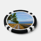 Carretera Hacia Reliegos Poker Chips (Enkel)