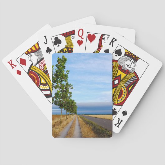 Carretera Hacia Reliegos Pokerkaarten (Achterkant)