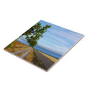 Carretera Hacia Reliegos Tegeltje (Zijkant)