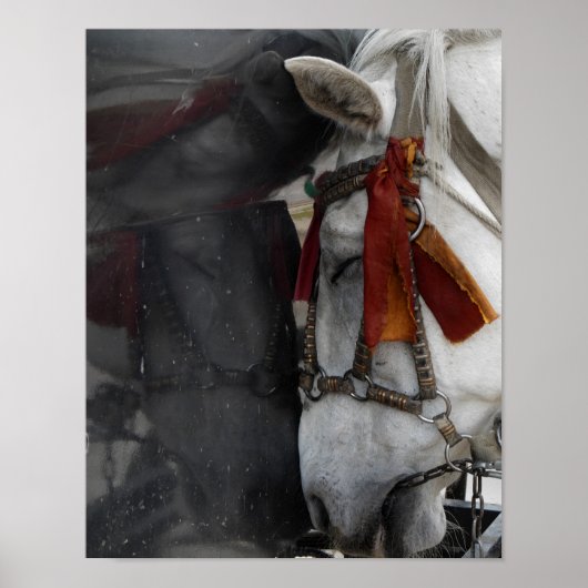 Carriage Horse and its Reflection Poster (Voorkant)