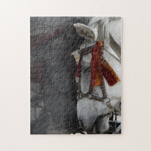 Carriage Horse Legpuzzel (Verticaal)