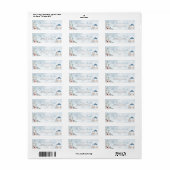 Carriage Return Address Cinderella Fairy Etiket (Full Sheet)
