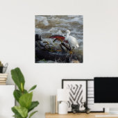 CARRIBEAN BIRD POSTER (Thuiskantoor)