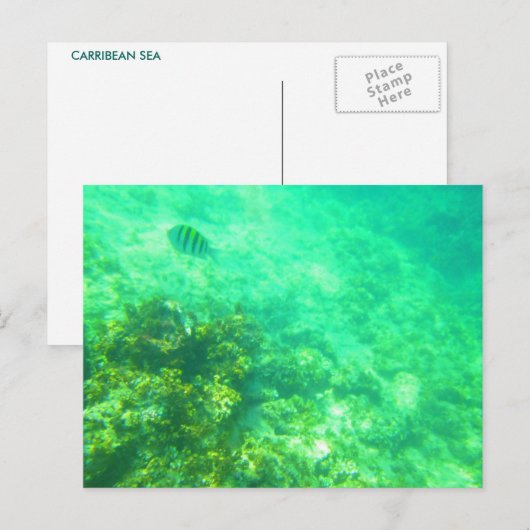 CARRIBEAN BRIEFKAART 2 (Voorkant / Achterkant)