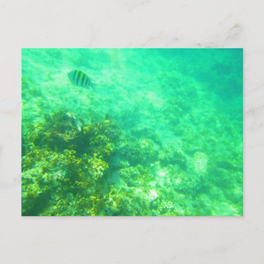 CARRIBEAN BRIEFKAART 2 (Voorkant)