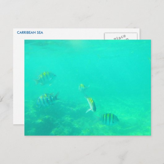 CARRIBEAN ZEE #5 BRIEFKAART (Voorkant / Achterkant)