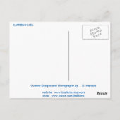 CARRIBEAN ZEE #8 BRIEFKAART (Achterkant)