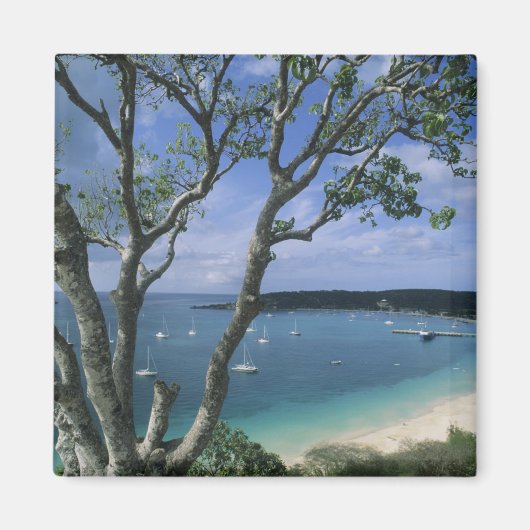 Carriboon, Anguilla Island, Road Bay Harbour. Magneet (Voorkant)