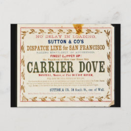 Carrier Dove Clipper Zeilen Briefkaart