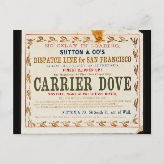 Carrier Dove Clipper Zeilen Briefkaart (Voorkant)