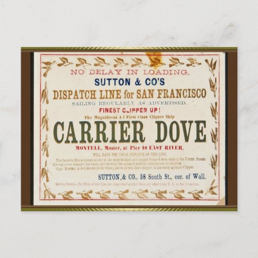 Carrier Dove Clipper Zeilen Briefkaart (Voorkant)