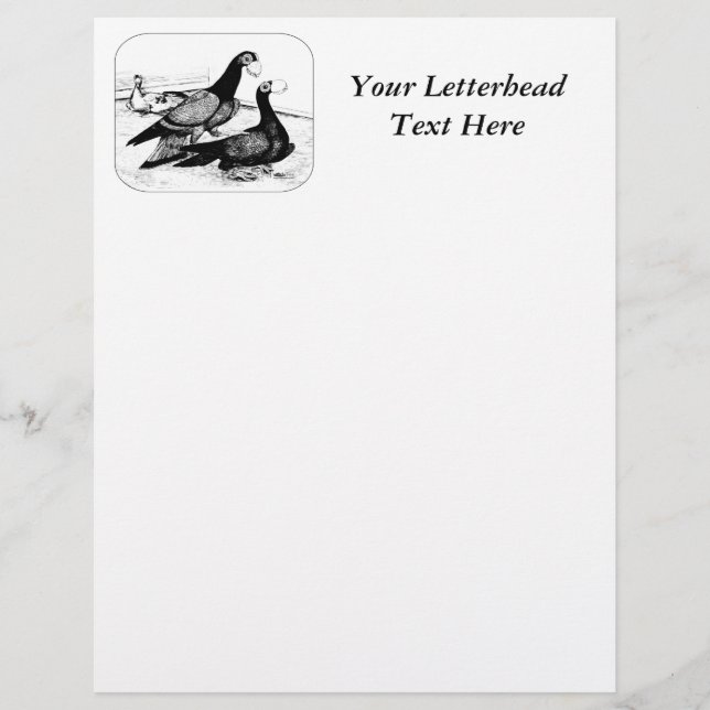 Carrier Pigeons Loft Scene 1980 (Voorkant)