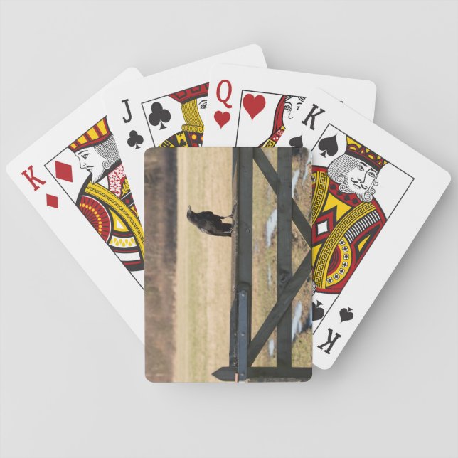 Carrion Crow Pokerkaarten (Achterkant)