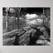 Carrion. Poster (Voorkant)
