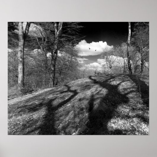 Carrion. Poster (Voorkant)