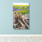 Carrizo Plain Canvas Afdruk (Insitu (Houten vloer))