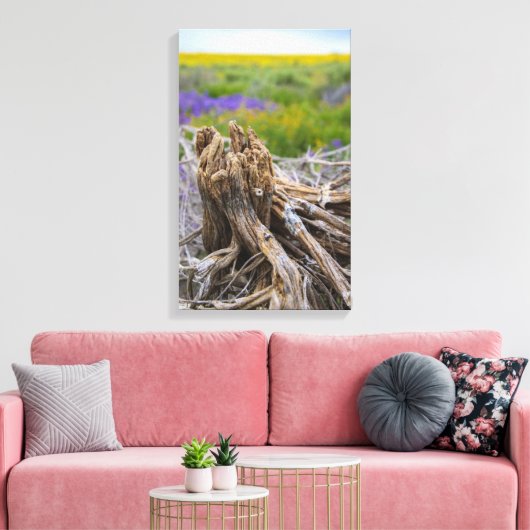 Carrizo Plain Canvas Afdruk (Insitu (Woonkamer))