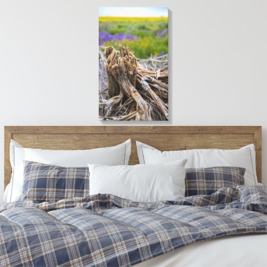 Carrizo Plain Canvas Afdruk (Insitu (Slaapkamer))