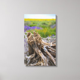 Carrizo Plain Canvas Afdruk
