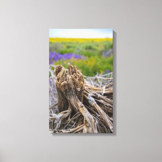 Carrizo Plain Canvas Afdruk (Voorkant)