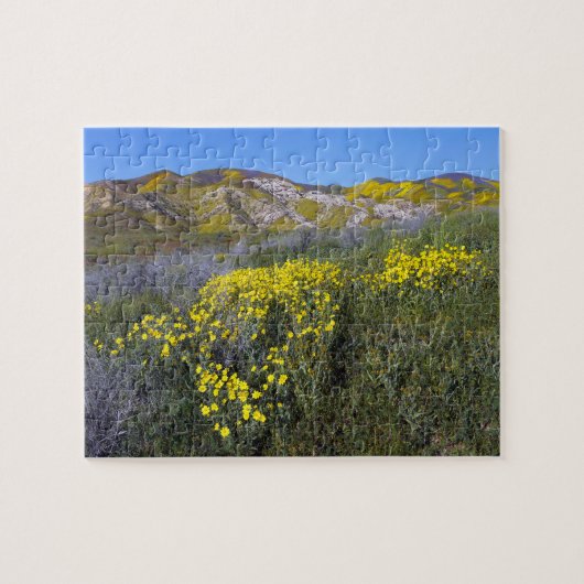 Carrizo Plain National Monument Legpuzzel (Horizontaal)