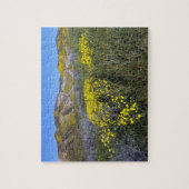 Carrizo Plain National Monument Legpuzzel (Verticaal)