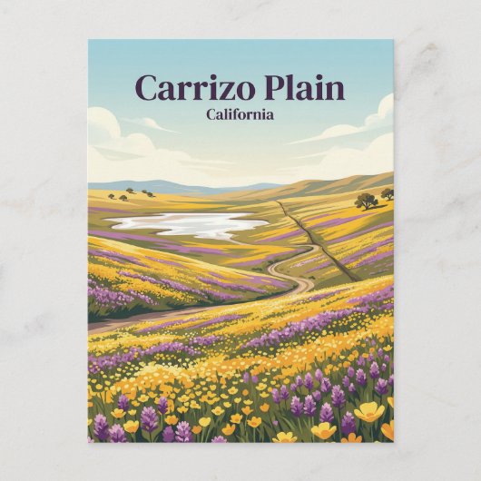 Carrizo Plain National Monument VS Briefkaart (Voorkant)