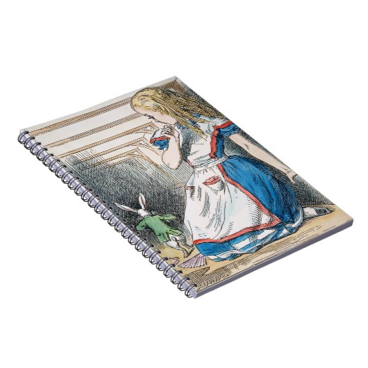 Carroll: Alice, 1865 Notitieboek (Rechterzijde)