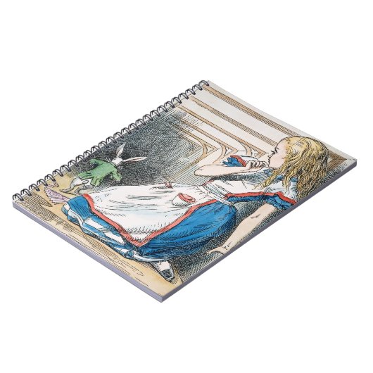 Carroll: Alice, 1865 Notitieboek (Linkerzijde)