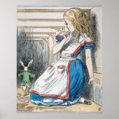 Carroll: Alice, 1865 Poster (Voorkant)