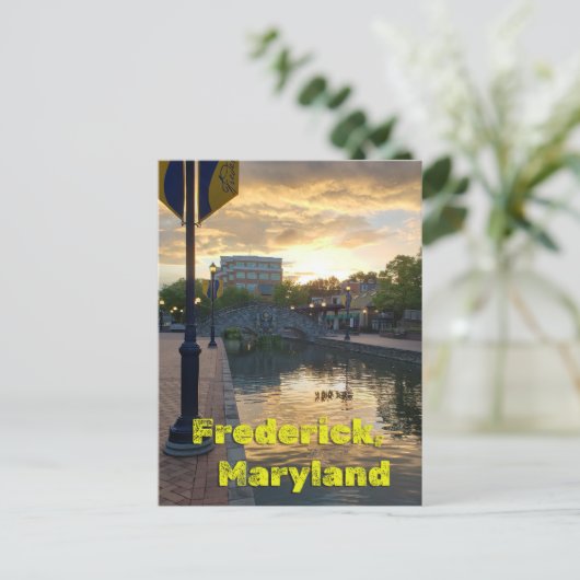 Carroll Creek Frederick Maryland #3 Briefkaart (Staand voorkant)