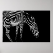 Carroslichaamtaal afdrukken poster (Voorkant)