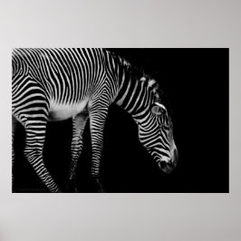 Carroslichaamtaal afdrukken poster