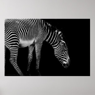 Carroslichaamtaal afdrukken poster