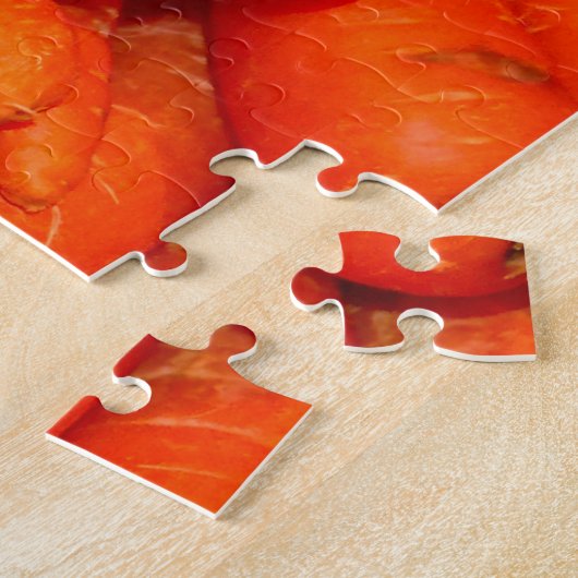 CARROSSERIE LEGPUZZEL (Zijkant)