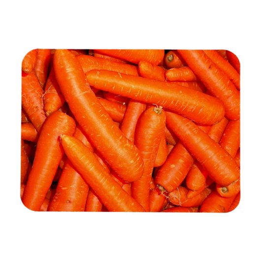 CARROSSERIE MAGNEET (Horizontaal)