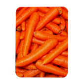 CARROSSERIE MAGNEET (Verticaal)