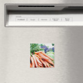 Carrot Magnet (Insitu (Vaatwasser))