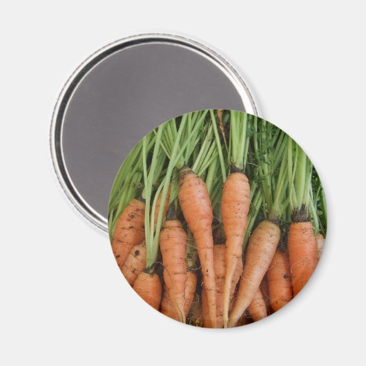 Carrot Magnet (Voorkant / Achterkant)