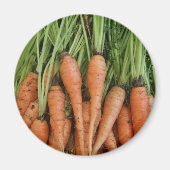 Carrot Magnet (Voorkant)