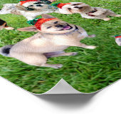 Carrot Top Bunny Daycare 2015 Poster (Hoek)